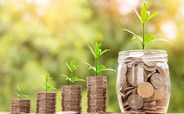 Investissement MCF Patrimoine